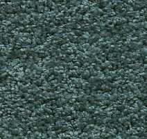 Ковролин AW Devotion 73 фото 1 | FLOORDEALER